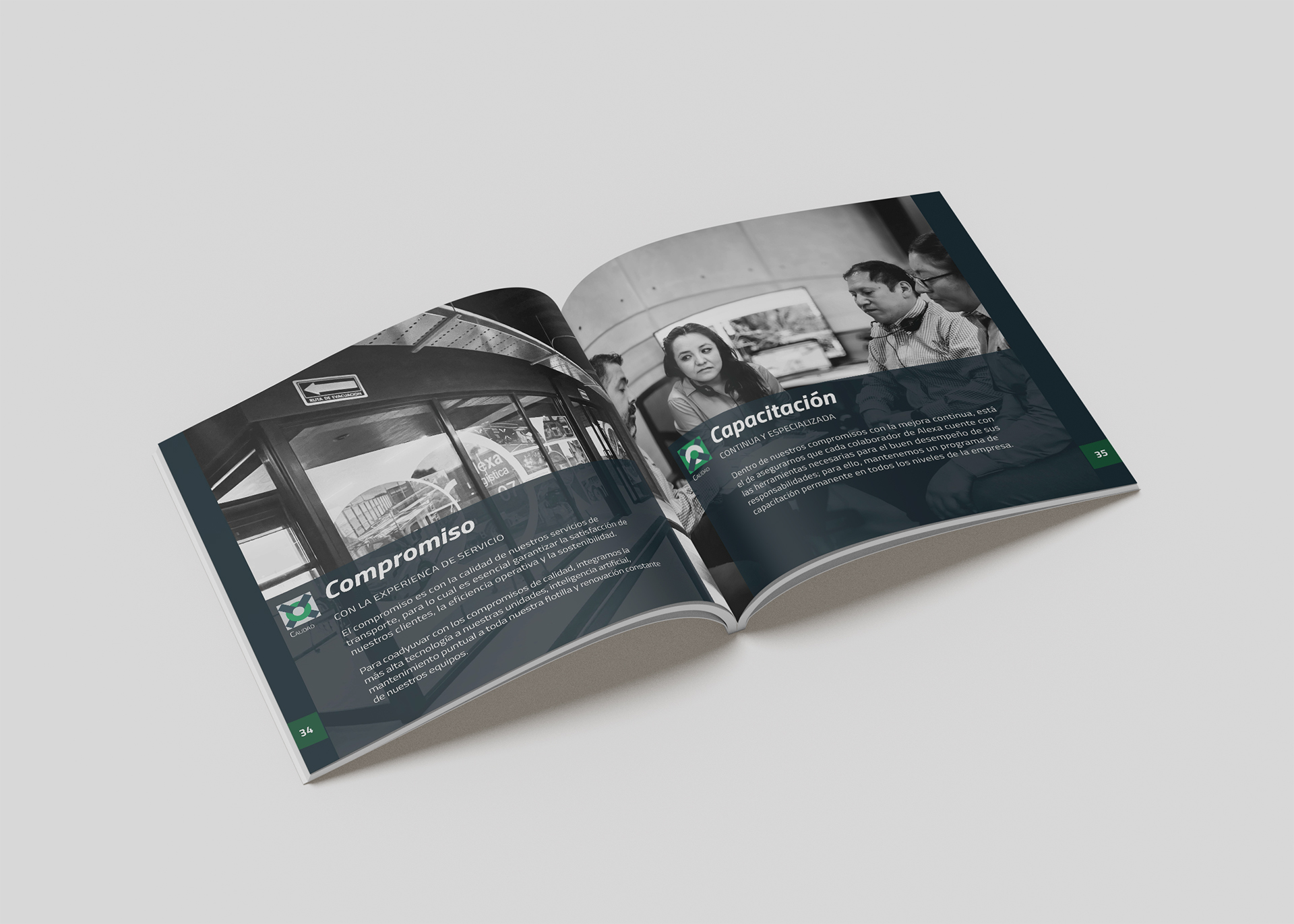 Diseño Editorial-Alexa Brochure-Webrannd-03