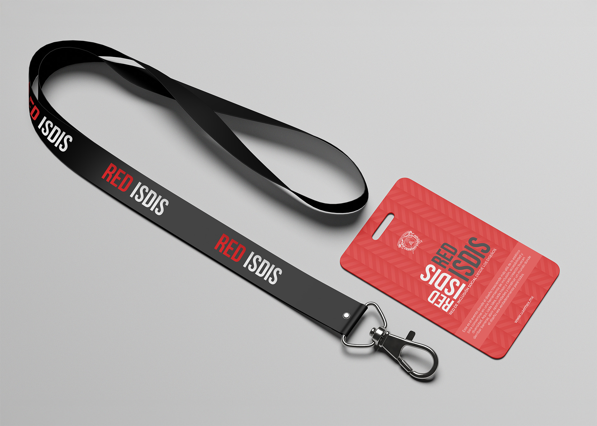 Identidad de Marca-Red ISDIS-Webrannd-02